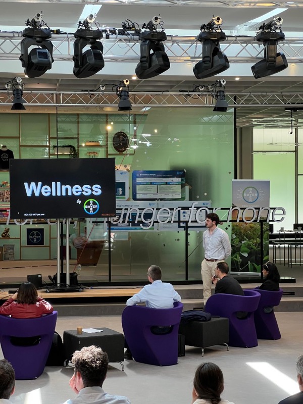 Workshop-Atmosphäre bei Hello Workflow in Hamburg